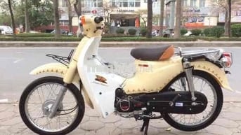 xe cúp học sinh