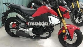 MSX125 2019 biểnsố HCM, xe chính chủ. MSX 125 2019