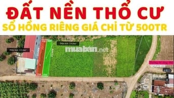 Bán đất 115m2 tại đường 765, Xã Xuân Tây, Đồng Nai, giá 560 triệu VND