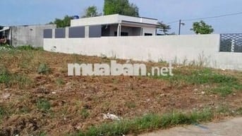 Đất 10 x 43,20 (432m2 Full thổ cư) hẻm ôtô 5m gần chợ Đồn Cây Dương