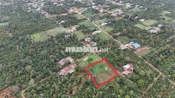 Đất diện tích lớn full thổ cư thích hợp làm nhà vườn