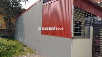 Cho thuê nhà đẹp, sạch sẽ ở Hòa Nghĩa, Dương Kinh, gần Vinhome DK