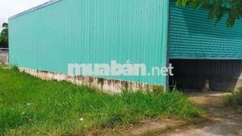 Bán nhà SHR P5 TP tân an Long an
