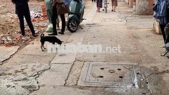 [HOT] ĐẤT MẶT TIỀN HIẾM – HIỆP BÌNH CHÁNH, THỦ ĐỨC