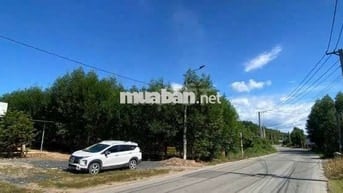 Chủ ngộp cần bán gấp đất full thổ cư