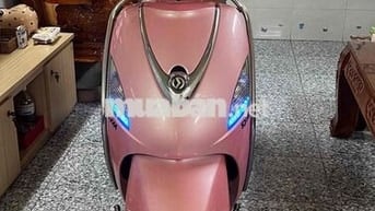 Elizabeth fi biển số tphcm chính chủ ký
