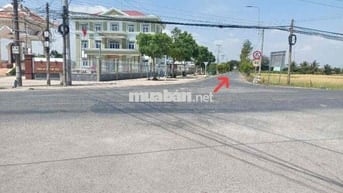 hàng hiếm , dt: 600m2 giá chỉ có 499tr , bình tịnh - tân trụ - long an