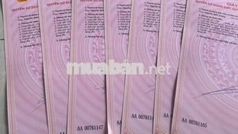 Đường tạo lực Bàu Bàng- Phú Giáo- Tân Uyên- TPHCM