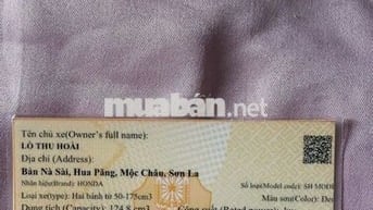 Bán xe siêu lướt nữ sử dụng