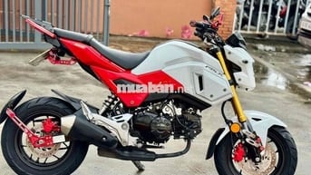 Honda Msx125 đẹp zin , đời cao, chính chủ sẵn hang