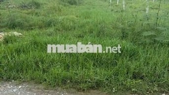👉 🏡 Bán Nhanh Đất Phú An DX24 – 5x40 Thổ Cư 100m² –Giá Chỉ 1Tỷ290 🏡
