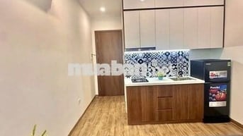 BÁN NHÀ HOÀNG HOA THÁM, TRUNG TÂM BA ĐÌNH, CCMN DÒNG TIỀN 60TR/ THÁNG