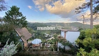 1000m2 620Triệu Đất Vườn View Sân Mây Cần Bán Gấp Tặng Luôn Vườn Hồng