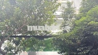 Cho Thuê Nhà Đường Bàu Cát, Tân Bình ( KD Tự Do )