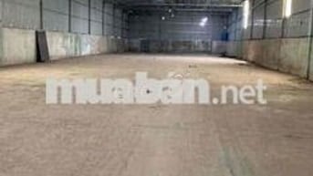 Cho thuê kho xưởng 1000m2 Ngay KCN Tân Bình giá 60tr