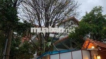🍴🌳 BIỆT THỰ SÂN VƯỜN 2 MT 18 X 19 – ĐƯỜNG SỐ 10, HIỆP BÌNH CHÁNH 🌊