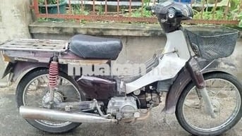 Xe Citi chở hàng