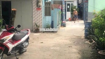 Đất thổ cư DT239m2, gần chợ đầu mối, tiện xây phòng cho thuê, nhà vườn
