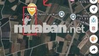 BÁN GẤP 24.212M² ĐẤT VĨNH THANH – NHƠN TRẠCH – ĐỒNG NA