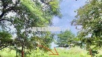 Bán nền 160m2 KDC An Phú Tây Giá rẻ Đs 8B 5tỷ1 ( chưa tới 32triệu/M2)