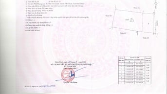 bán đất đấu giá tại Ninh Bình của Ngân hàng MSB