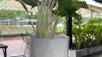 CẦN VÀI BẠN PHỤ BÁN HÀNG VỚI CHỊ 