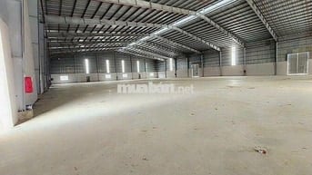CHO THUÊ KHO XƯỞNG 4500 M2 – BẾN LỨC, LONG AN