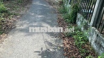 CẦN BÁN 1400M ĐẤT VƯỜN CLN THUỘC PHƯỜNG TÂN HẠNH, TỈNH VĨNH LONG