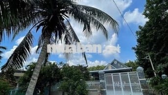 BÁN ĐẤT TẶNG NHÀ CẤP 4 CÁCH TTTM CHƠN THÀNH CHỈ 5 PHÚT ĐI XE GIÁ 890TR