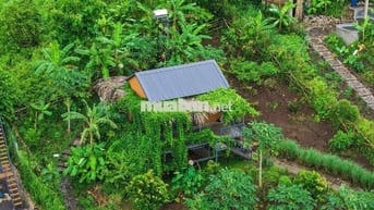 Khám Phá Mảnh Đất Nghỉ Dưỡng Tại Định Quán, Đồng Nai – "Đà Lạt Thứ 2"