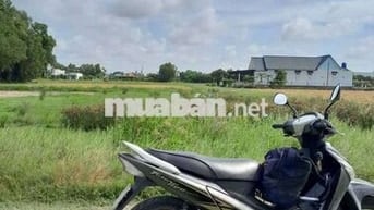 Bán đất Full thổ cư 10 x 29 (290m2) hẻm ôtô gần chợ Đồn Cây Dương