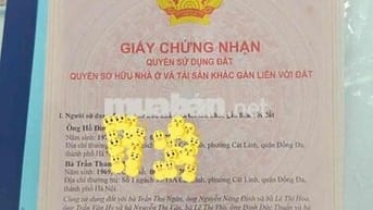 Bán CCMN Cầu Diễn, Hồ Tùng Mậu - Có Phôi Sổ Hồng Đồng Sở Hữu