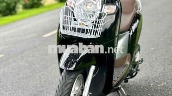 ✅✅Scoopy Zin Nguyên Bản.Siêu Keng. Ngay Chủ