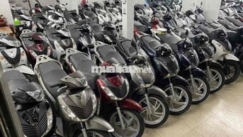 SH Việt Nam số lượng lớn- Giá chỉ hơn 30 triệu