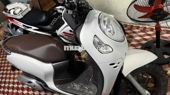 BÁN XE SCOOPY 2024