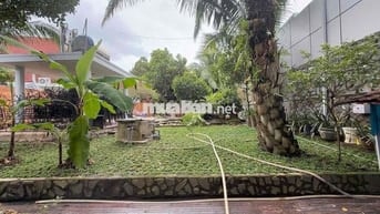 CHO THUÊ MẶT BẰNG RỘNG GẦN 1000M² – THỦ DẦU MỘT (G