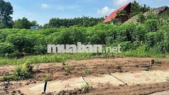 200m2 đất thổ cư ngay cổng KCN 1000ha, giá bể ngộp 390tr