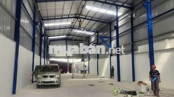 Cho thuê xưởng mới tinh đường xe cont