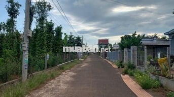 Chốt Gấp! Đất Xuyên Mộc Diện Tích Lớn, Sát Hồ Tràm - Giá Chỉ 15,9 Tỷ!