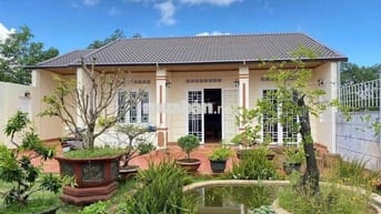 Cho thuê nhà vườn 500m2 hẻm 327 Y Moan có nội thất