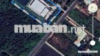 ngộp ngân hàng cần bán gấp 5000m2 có thổ cư 300m , 2 mặt tiền