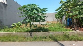ĐẤT LỌT KHE, VUÔNG VỨC, 10M X 34M, GIÁ 650 TRIỆU, GIẢM THÊM 50 TRIỆU.