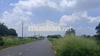 Đất nền Bà Rịa Vũng Tàu, Pháp lý đảm bảo, sổ hồng có sẵn