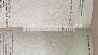 💥Bán gấp lô đất 2 mặt tiền bê tông 468m Full thổ cư Đức Hoà Long An