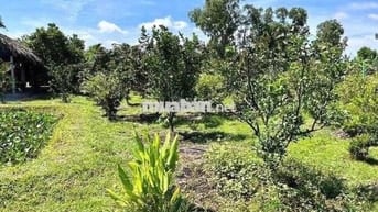 bán lỗ miếng đất bình dương ngay trung tâm, 400tr sang tên ngay