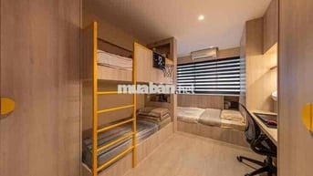 KTX Cao Cấp Chính Chủ Đường Thành Thái Q10