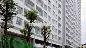 Chính chủ cho thuê căn hộ Chung Cư Hoa Sen