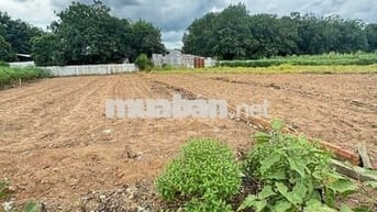 CHÚ EM MUỐN BÁN LẠI MIẾNG ĐẤT Ở PHÚ GIÁO BINH DƯƠNG