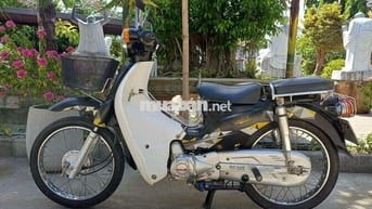 Cup Dalim 50cc 2020