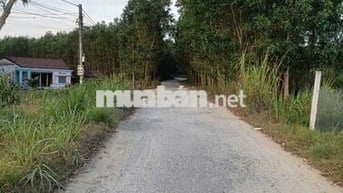 Đất quy hoạch thổ cư Quảng Ngãi giá rẻ chỉ 79 triệu, sổ hồng riêng sẵn
